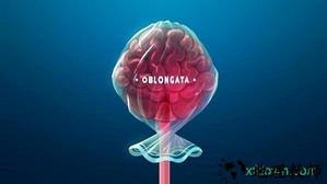 化为灰烬 v1.0 安卓版 1