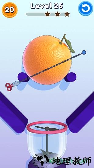 标准切片游戏 v1.0 安卓版 3