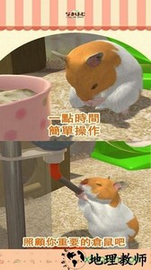 我的仓鼠游戏(ぼくハム) v1.0 安卓版 1