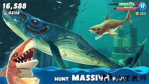 饥饿鲨世界国际服最新版本 v5.1.0 安卓版 0