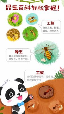 奇妙昆虫世界小游戏官方版 v9.72.00.00 安卓版 3