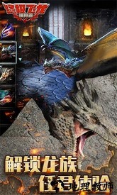 终极飞龙模拟器中文版 v1.2 安卓版 0