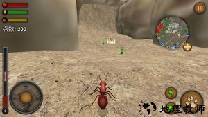 蚂蚁求生模拟器游戏 v189.1.3.3018 安卓版 1