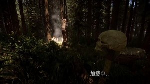 真实荒野生存游戏 v1.00 安卓版 3