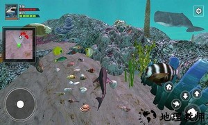 饥饿大白鲨最新版 v1.5 安卓手机版 0