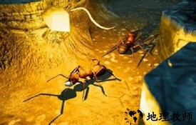 蚂蚁农场游戏 v2.0.4 安卓版 0
