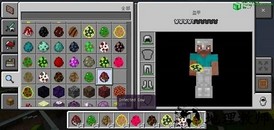 我的世界畸变生存100天 v1.16.221.01 安卓版 0