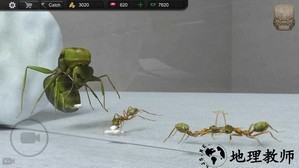 蚂蚁模拟大亨最新版 v2.6 安卓版 1
