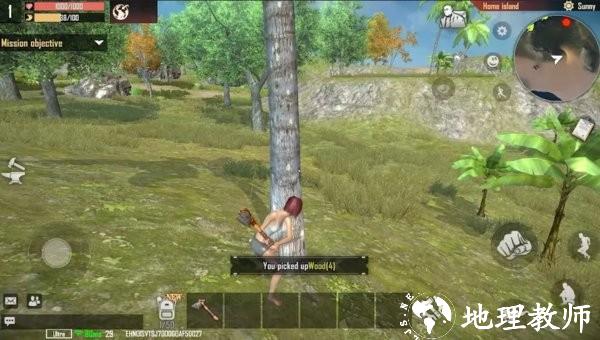 代号岛屿游戏(Project Island) v1.1.16 安卓版 1