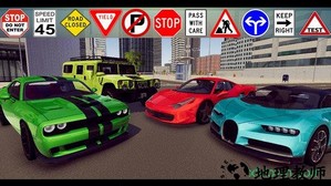汽车驾驶学校19(driving school 19) v1.2 安卓版 3