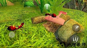 昆虫捣蛋模拟手游 v1.0 安卓版 1