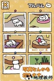 猫咪后院中文版(Neko Atsume) v1.12.0 安卓汉化版 0