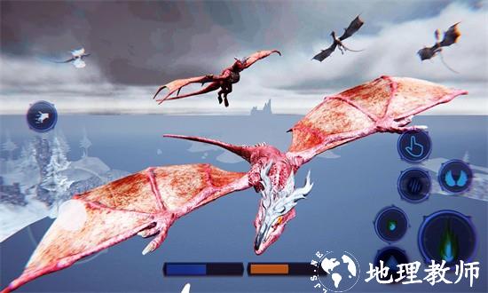 龙飞行模拟器新版 v1.16 安卓版 3