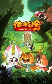 猫咪公会 v1.0.0 安卓版 1