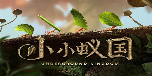 小小蚁国37官网版下载