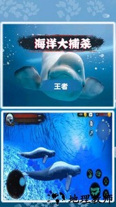 海洋大捕杀游戏 v1.0.12 安卓版 2