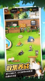 猫语咖啡手游 v1.0.1 安卓版 2