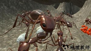 蚂蚁模拟3d最新版 v3.3.4 安卓版 2