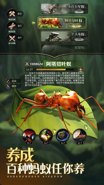 小小蚁国九游客户端 v1.58.0 安卓版 3