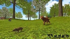 猫咪生存探险手机版 v300.1.1.3018 安卓版 3