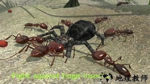 蚂蚁模拟3d最新版 v3.3.4 安卓版 0