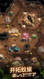 蚂蚁地下王国最新版(The Ants) v1.10.0 安卓版 0