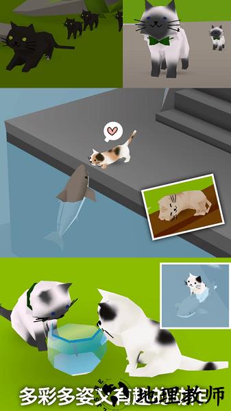 猫猫与鲨鱼正版 v1.39 安卓版 1