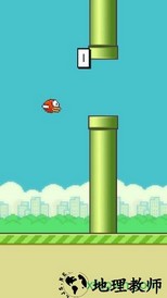 flappybird像素鸟 v5.0 安卓版 0