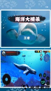 海洋大捕杀游戏 v1.0.12 安卓版 0