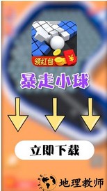 暴走小球红包版 v103.101 安卓版 3