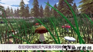 真实采蘑菇模拟器最新版 v1.8 安卓版 0