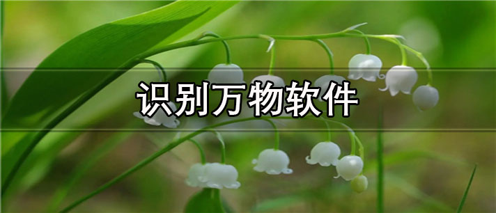 扫一扫识别万物app有哪些