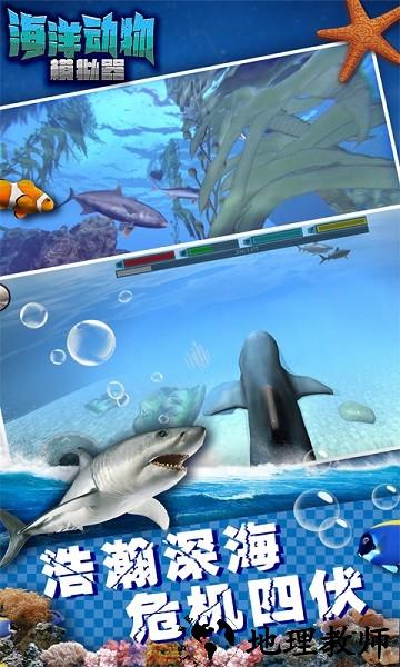 海洋动物模拟器手游 v1.6 安卓版 3