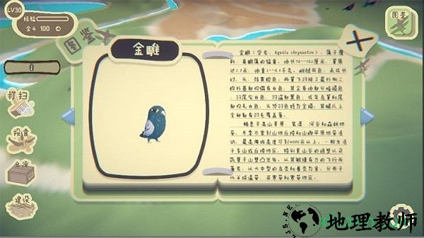 鸟之森手游 v0.1 安卓版 0