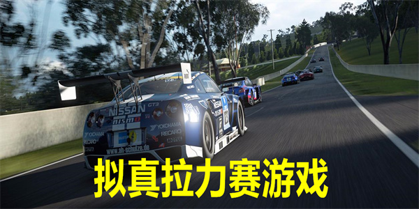 最新拟真拉力赛游戏