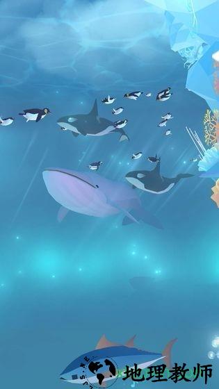 深海水族馆极地国际服 v1.0.13 安卓版 0