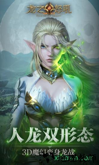 龙之怒吼应用宝版 v1.3.0 安卓版 3
