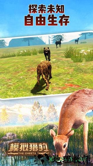 模拟猎豹单机版 v1.0 安卓版 0