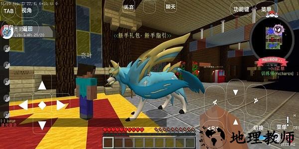 宝可梦世界王国中文版 v1.1 安卓版 1