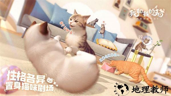 我和我的猫最新版 v1.0.84161 安卓官方版 3