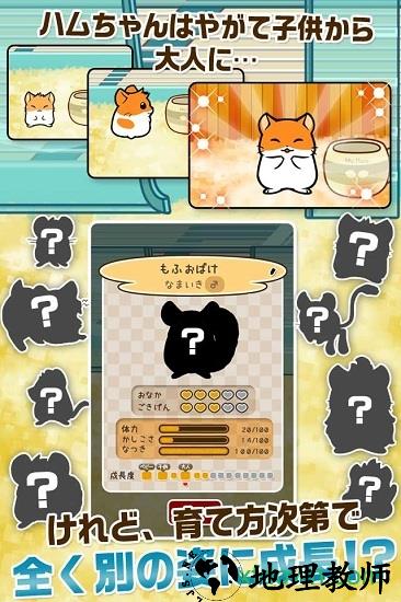 仓鼠物语手机版(ハムスター) v1.0.2 官方安卓版 2