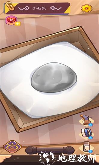 宠物石头手游 v1.0 安卓版 2