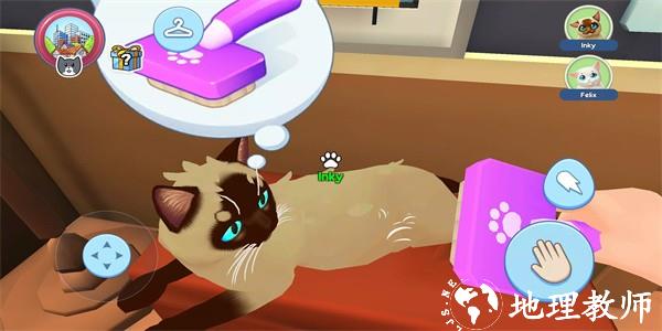 我的宠物猫模拟器最新版(My pets: Stray Cat Simulator) v1.3.2 安卓版 2