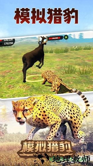 模拟猎豹中文版 v1.0 安卓版 2