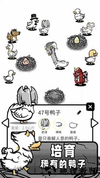奇怪鸭子世界游戏 v1.0 安卓版 3