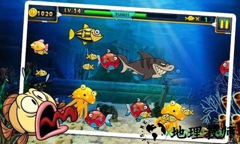 饥饿的鲨鱼3(Hungry Shark 3 Free) v3.2.0 安卓版 2