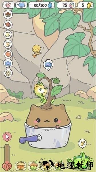 养猫达人游戏 v1.0.0 安卓版 2