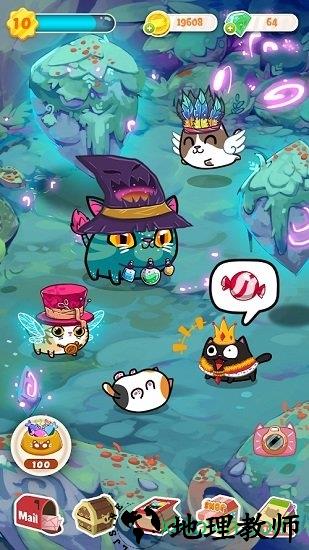 花样猫咪 v3.5.6 安卓版 0