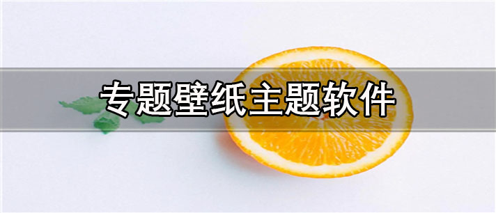 专题壁纸主题app哪个好用_免费的专题壁纸主题app合集