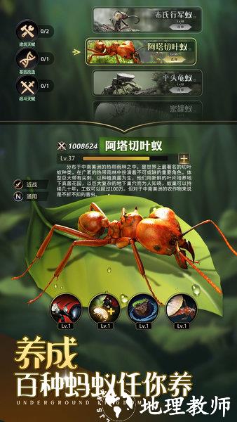 小小蚁国最新版 v1.64.0 安卓汉化版 3
